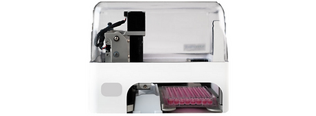 Untitled design (19).png