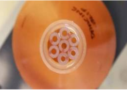 Targeted Drug Delivery Using Ultrasound Beam Focusing & LabVIEW