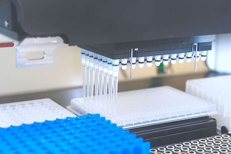 AdobeStock_409942094 (1).jpeg